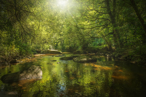 istock Garden of Eden 828184138