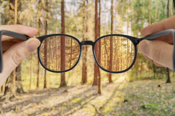 istock Man holds glasses in hands. View through eyeglasses on forest. 828197486