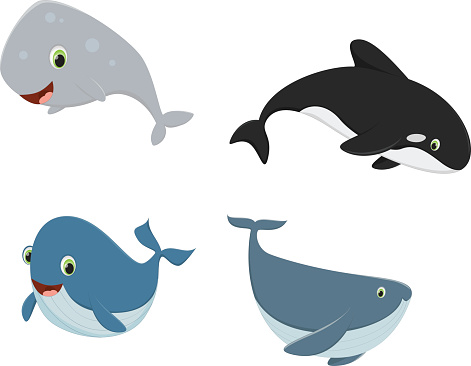 Ilustración de Ballena De Dibujos Animados 4 y más Vectores Libres de Derechos de Acuario - Recinto para animales en cautiverio - Acuario - Recinto para animales en cautiverio, Agua, Alegre - iStock Ilustración de Ballena De Dibujos Animados 4 y más Vectores Libres de Derechos de Acuario - Recinto para animales en cautiverio - Acuario - Recinto para animales en cautiverio, Agua, Alegre - iStock