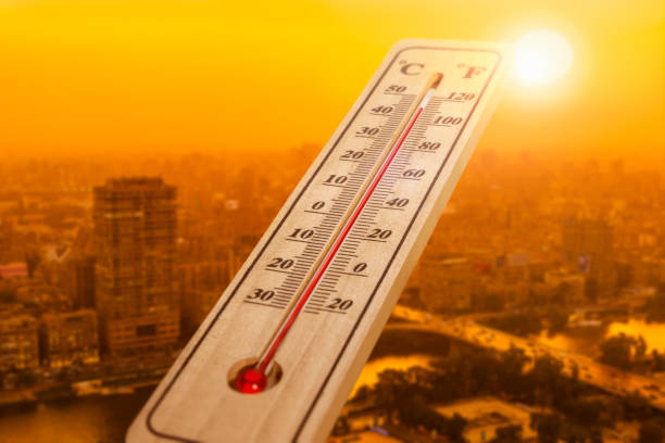 Wood thermometer Wood thermometer showing air temperature. hyperthermia photos stock pictures, royalty-free photos & images