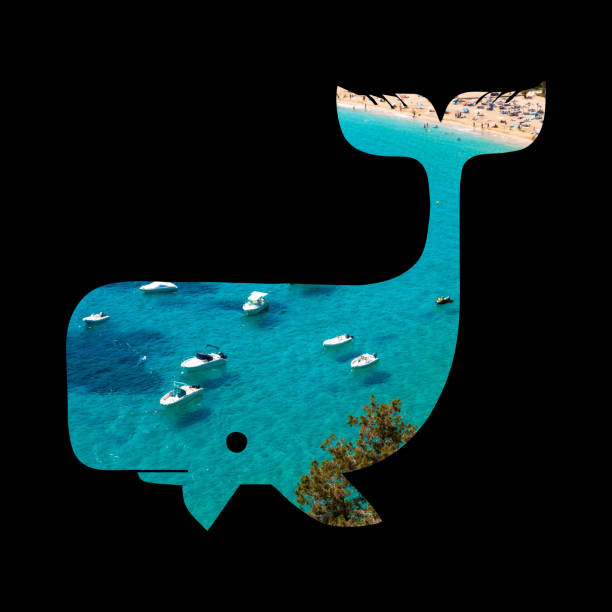 Collage of Ibiza  beach Balearic Islands
