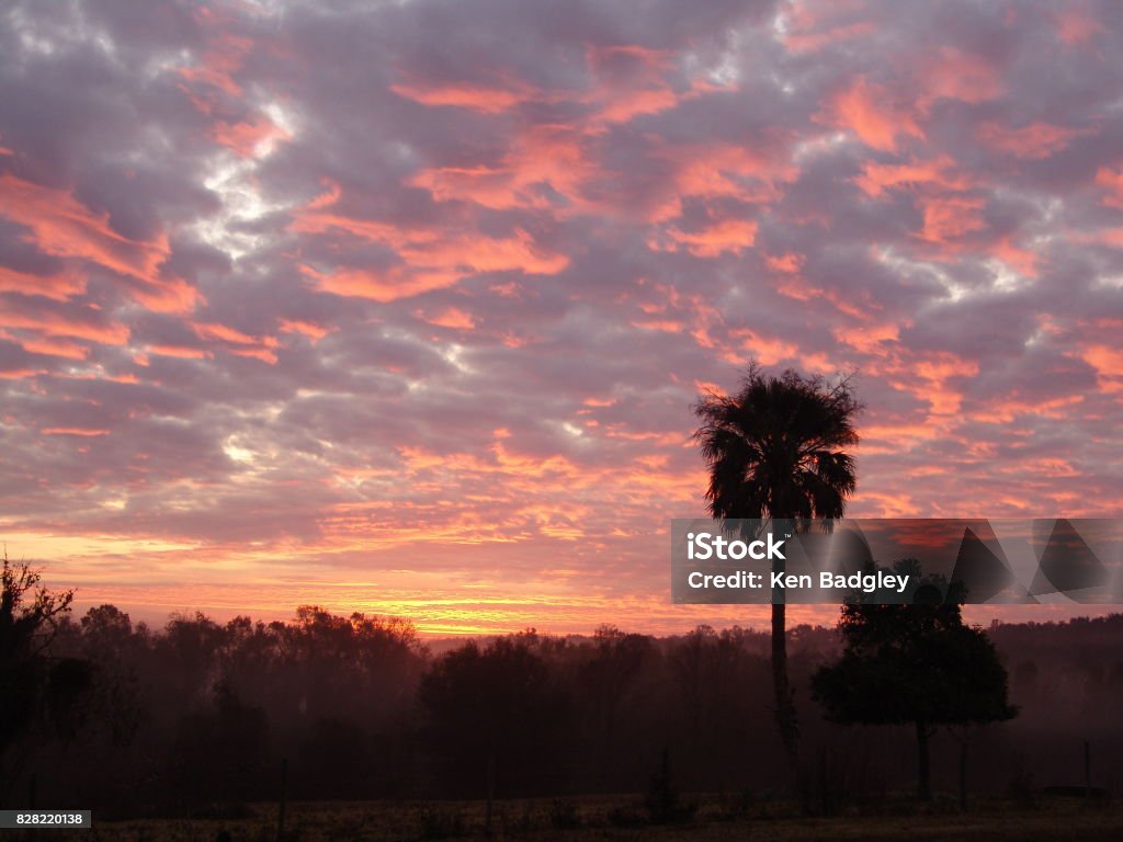 Sunrise over the Brooksville Ridge Fiery clouds at sunrise in rural Central Florida Florida - US State Stock Photo