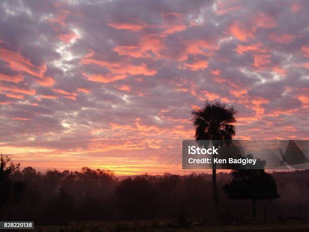 Sunrise Over The Brooksville Ridge Stock Photo - Download Image Now - Florida - US State, Atmospheric Mood, Cloud - Sky