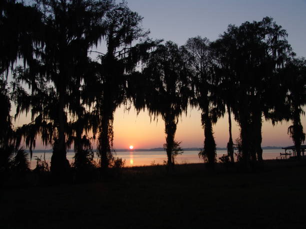 istock Sunrise over Florida lake 828220232
