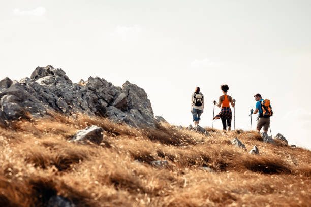 istock Group of hikers walking  in the mountain 828229716