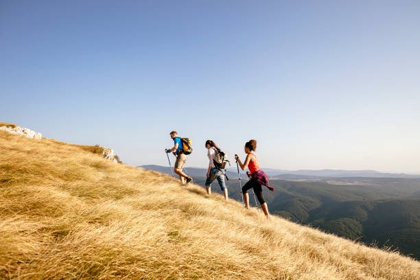 istock Group of hikers walking  in the mountain 828229880