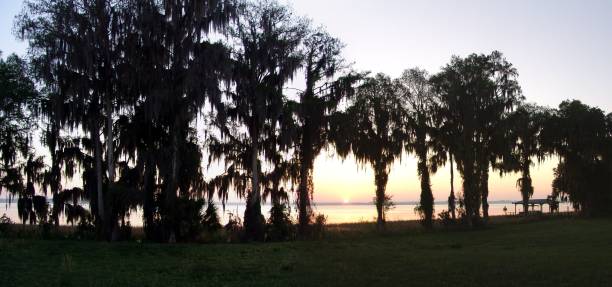 istock Sunrise over Florida lake 828241380