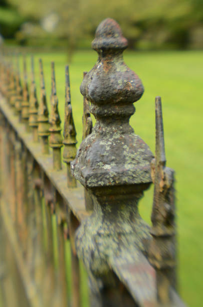 istock ornate antique iron fence 828245262