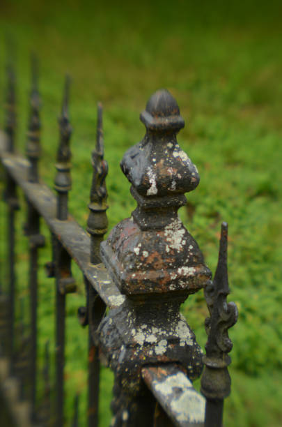 istock ornate antique iron fence 828245318