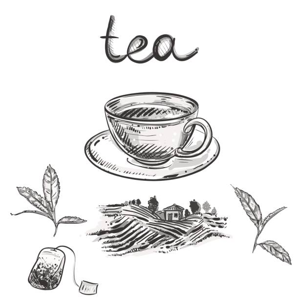 ilustrações, clipart, desenhos animados e ícones de mão desenhada conjunto de vetor de escala de cinza de xícara de chá, folha, fazenda - tea cup cup old fashioned china