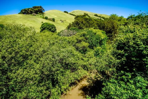 istock green california hills and mountains in spring 828271392