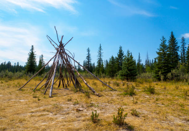 istock Log Tipi structure on a cleared out patch of grass in nature 828275502