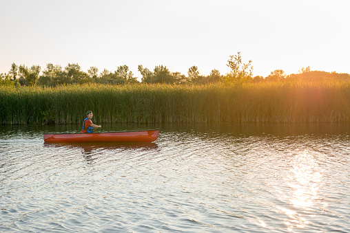 A young man is paddling a Canadian Algonquin prospector canoe in marsh, against sunset background.
