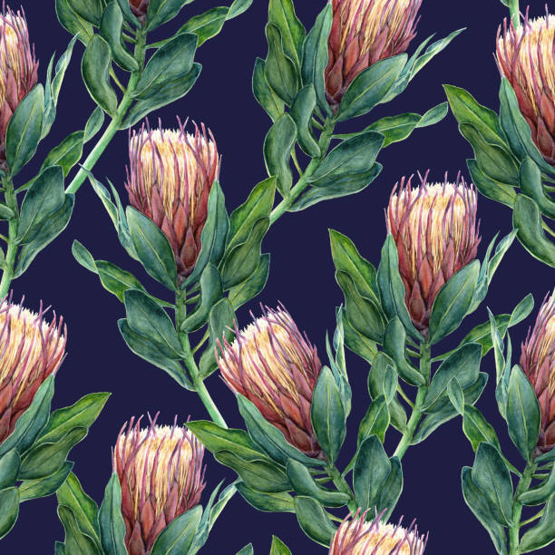 ilustrações de stock, clip art, desenhos animados e ícones de protea flower seamless pattern - sugarbush