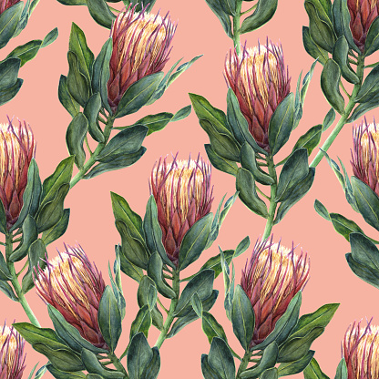Protea flower watercolor illustration. Seamless pattern design on a pink background.