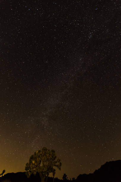 istock Joshua Tree National Park at night 828314850