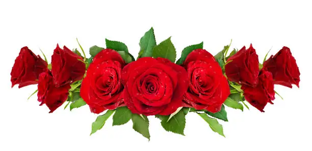 Red rose flowers arrangement isolated on white. Top view.