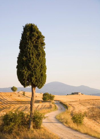 Tuscany Italy scenic view of region