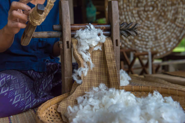 istock Silkworms nest in white dish and use for silk fabric 828329452