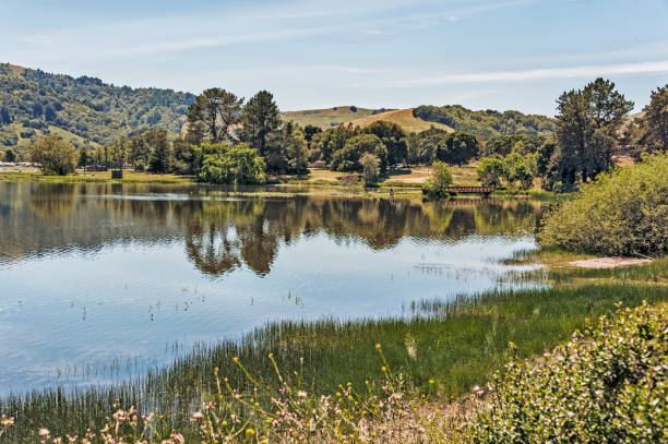 istock Fishing at Marin County Nicasio Reservoir 828329556