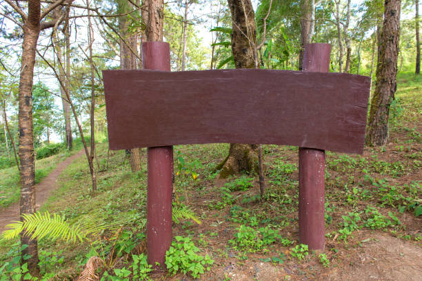 istock wood sign or billboard  for advertisement in a forest 828338254