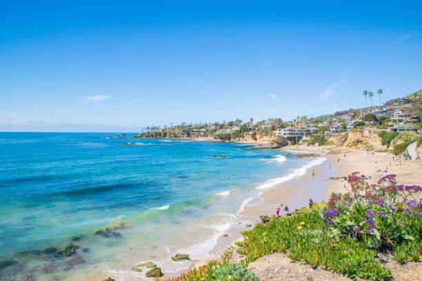 istock Beautiful Heisler Park, Laguna Beach, California 828341806