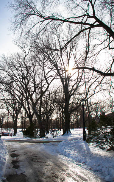 istock Trees next to wall and snow in winter 828357242