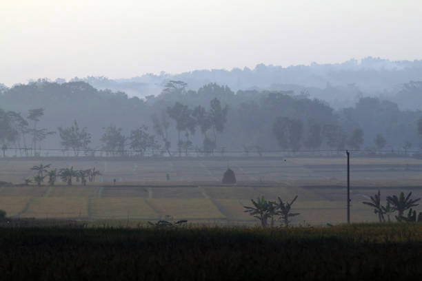 istock Morning beauty in nature 828385954