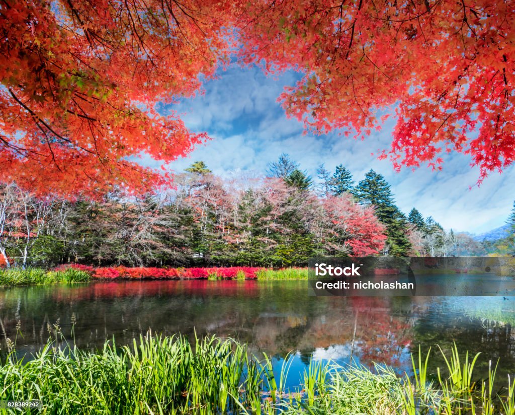 karuizawa hermoso durante la temporada de otoño, Japón - Foto de stock de Agua libre de derechos