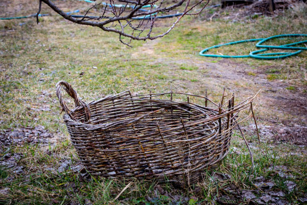 Old wicker basket in the autumn garden