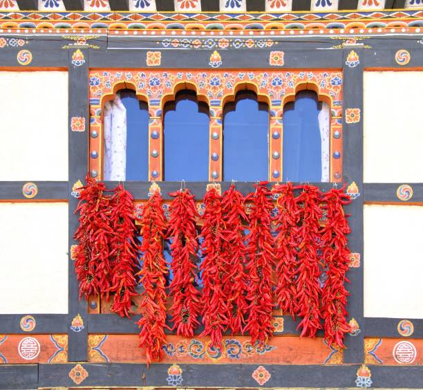 Red Chili spice dry by hanging in front of traditional Bhutanese colorful painted wooden window, Bhutan stock photo