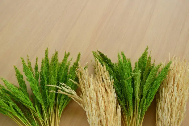 ear of rice/ear of paddy or straw on wooden table