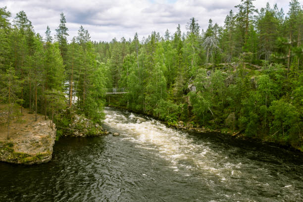 istock A beautiful scenery with a river rapids in Finland 828419610