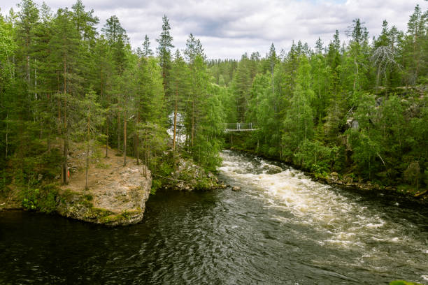 istock A beautiful scenery with a river rapids in Finland 828419678