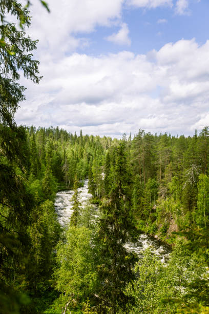 A beautiful scenery with a river rapids in Finland