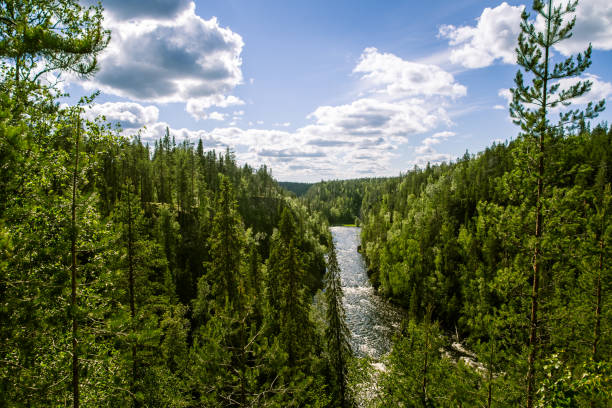 istock A beautiful scenery with a river rapids in Finland 828419960