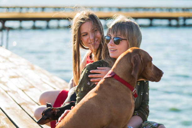 Lesbian couple with dog's sitting on wooden dock