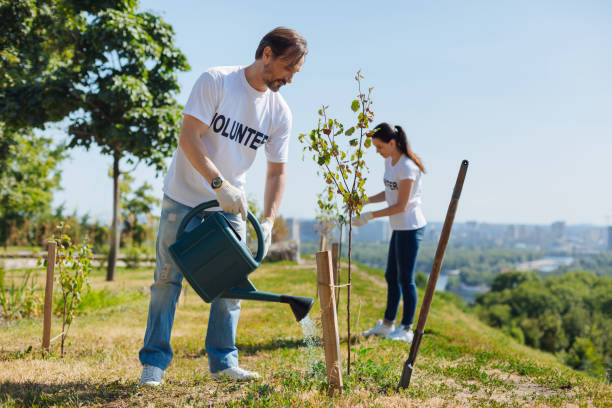 Diligent clever man nurturing new trees with moist