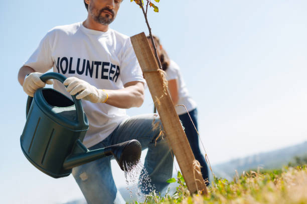 istock Attentive wonderful guy taking care of young trees 828420708