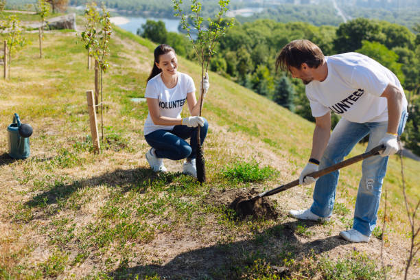 istock Clever committed people adding new trees in the local park 828420824