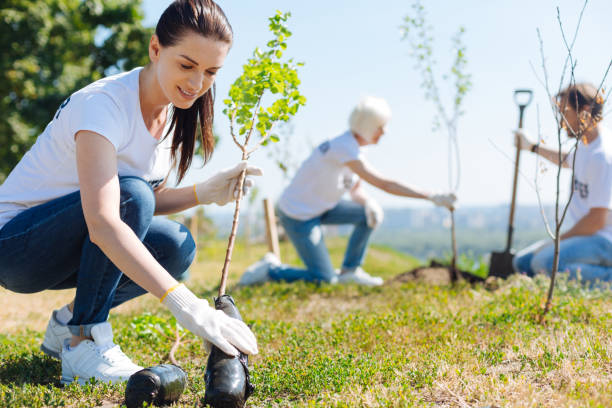 istock Delicate charismatic woman careful with little trees 828420964