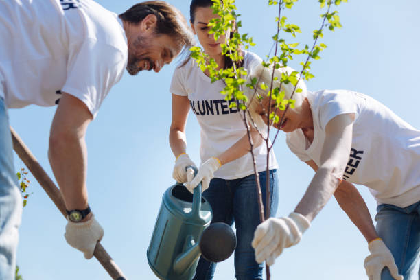 istock Neat productive team putting young plants in the soil 828421230