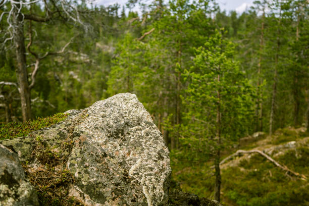 istock A beautiful rocky forest landscape in Finland 828424196