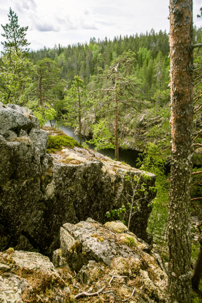 istock A beautiful rocky forest landscape in Finland 828424434