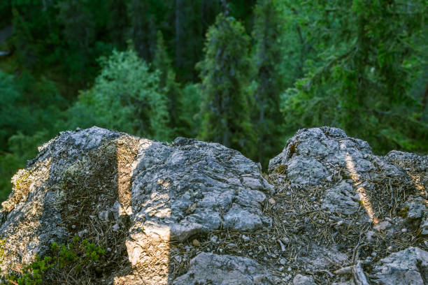 A beautiful rocky forest landscape in Finland
