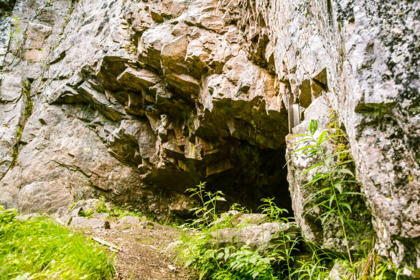 istock A beautiful rocky forest landscape in Finland 828424996