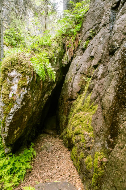 istock A beautiful rocky forest landscape in Finland 828425238