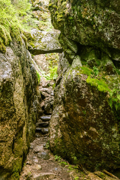 istock A beautiful rocky forest landscape in Finland 828425582