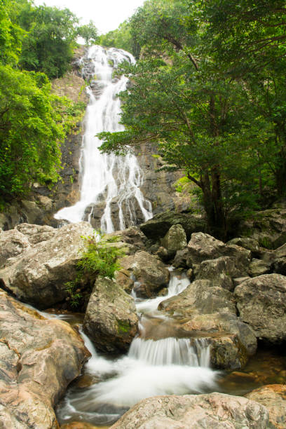 istock Beautiful waterfalls in the green forest. 828430512
