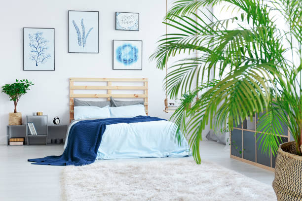 View of bedroom View of modern bright stylish bedroom head board bed blue stock pictures, royalty-free photos & images